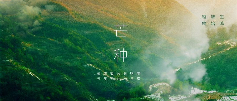 惊蛰